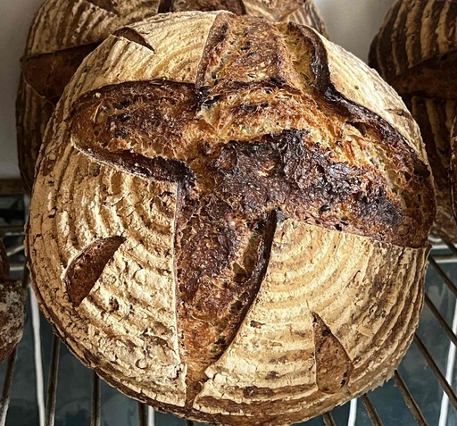 Tradition seigle graines